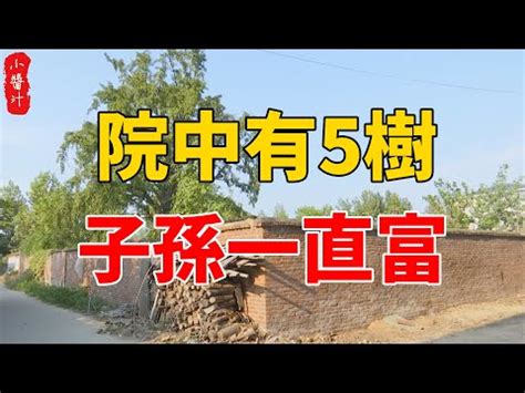 水晶樹風水|水晶樹風水專家：教你提升運勢的秘訣